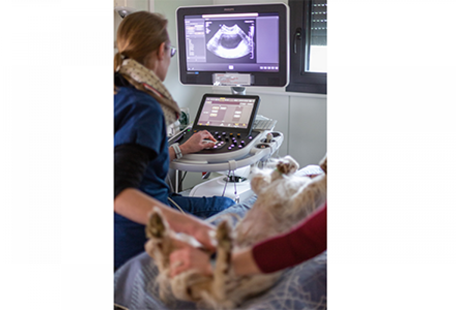 0007-ultrasound