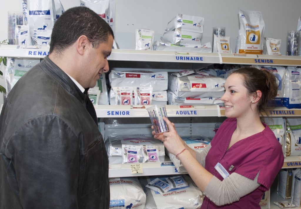 Clinique Vétérinaire Rostrenen Centre Bretagne Conseil