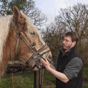 Clinique Vétérinaire Rostrenen Centre Bretagne Conseil Cheval
