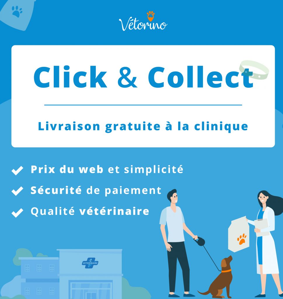 Nouveau votre boutique en ligne! Clinique Vétérinaire du Kreiz Breizh à Rostrenen Nouveau votre boutique en ligne! Clinique Vétérinaire du Kreiz Breizh à Rostrenen